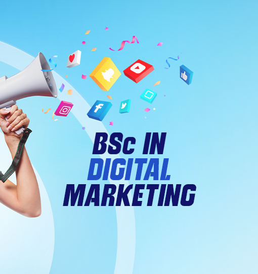 BSc in Digital Marketing